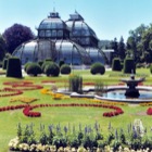 Palmenhaus, Schönbrunn