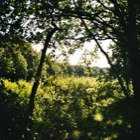 Pannenhoef