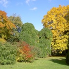 Heiligenstädter Park