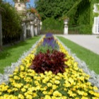 Blumen, Salzburg