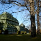 Palmenhaus