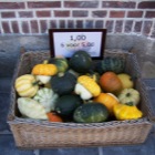 Pompoenen