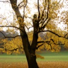 Pötzleinsdorfer Schloßpark