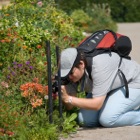 Michi taking photos