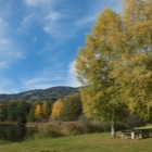 Puschacherteich, Yspertal