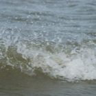 Wave