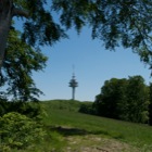 Funkturm am Exelberg