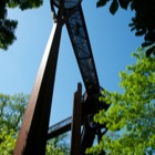 Treetop Walkway