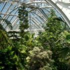 Temperate House