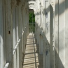 Temperate House