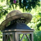 Sommerhut