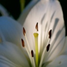 Licht und Schatten