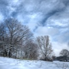 Steinhofgründe [HDR]