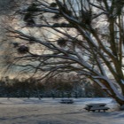 Steinhofgründe [HDR]