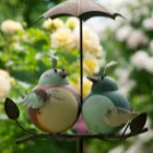 Garten-Vögel mit Schirm