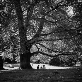 Under the tree, Türkenschanzpark
