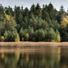 Gemeindeteich, Heidenreichsteiner Moor