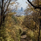 View of Donaucity from Kahlenberg